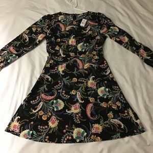 Ann Taylor Loft Paisley Dress